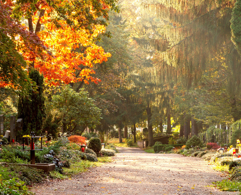 Friedhof im Herbst